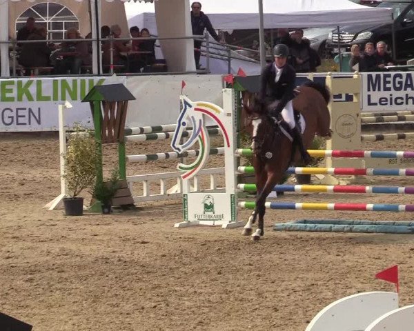 Reitturnier Leichlingen-Witzhelden 2019
