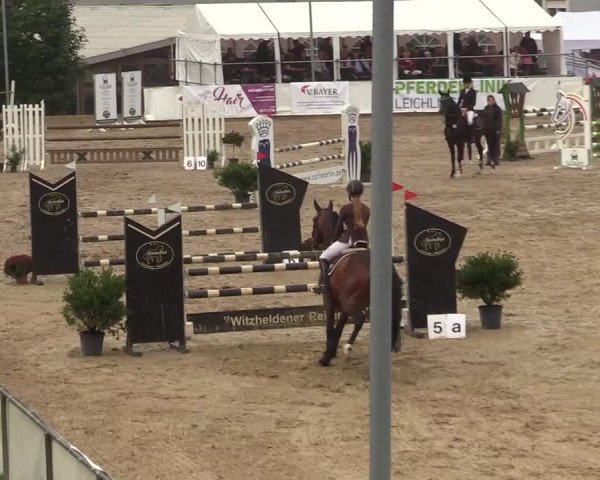 Reitturnier Leichlingen-Witzhelden 2019