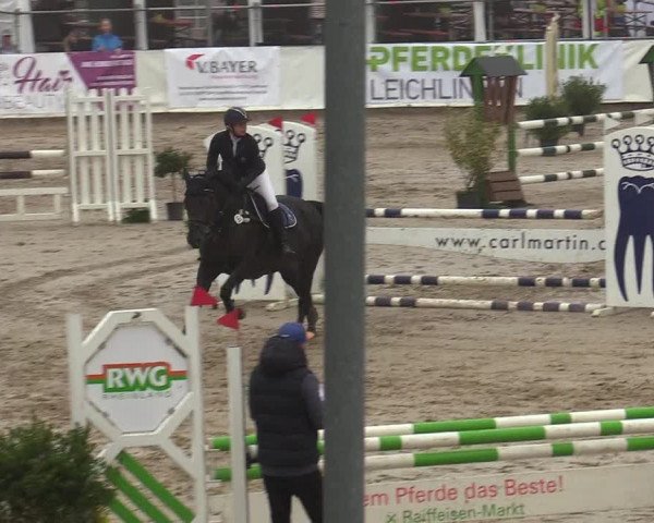 Reitturnier Leichlingen-Witzhelden 2019