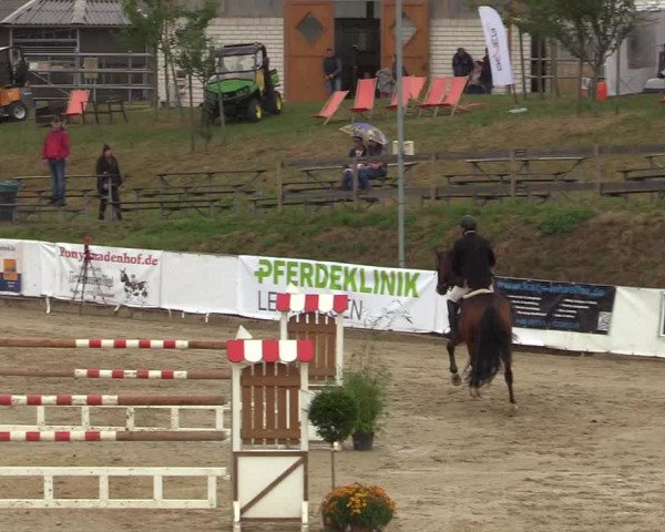 Reitturnier Leichlingen-Witzhelden 2019