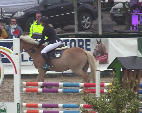 Reitturnier Leichlingen-Witzhelden 2019