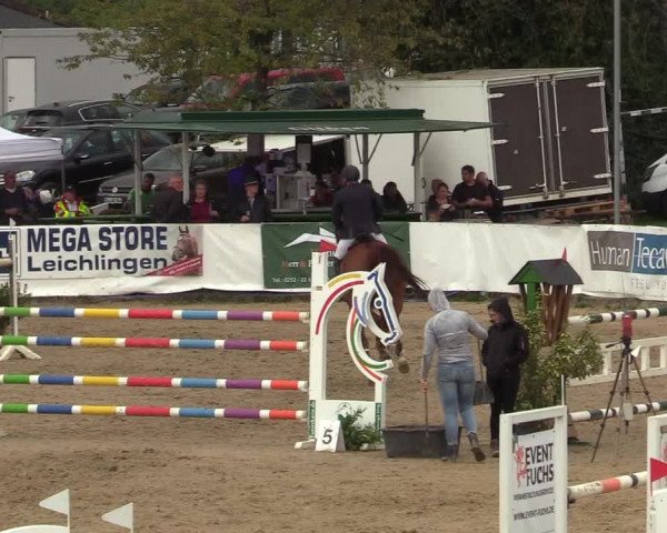 Reitturnier Leichlingen-Witzhelden 2019