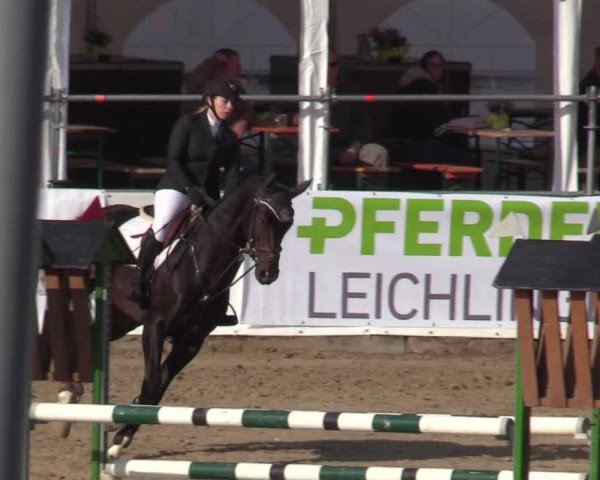 Reitturnier Leichlingen-Witzhelden 2019