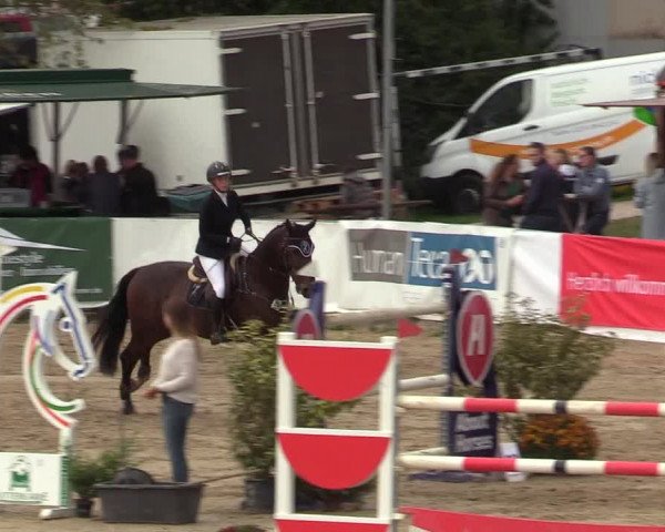 Reitturnier Leichlingen-Witzhelden 2019