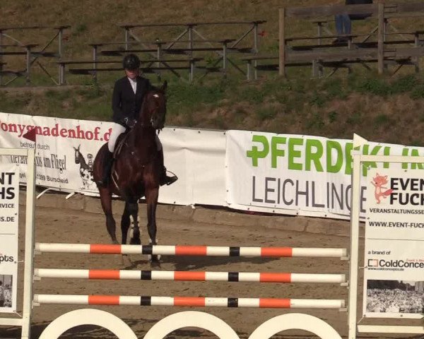 Reitturnier Leichlingen-Witzhelden 2019