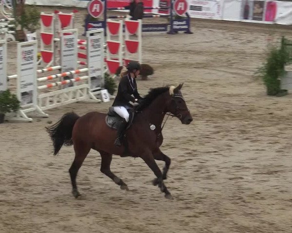 Reitturnier Leichlingen-Witzhelden 2019