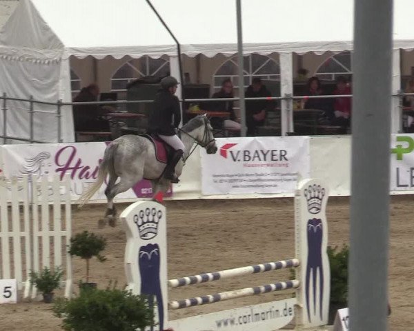 Reitturnier Leichlingen-Witzhelden 2019
