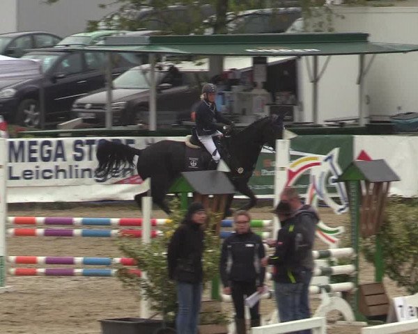 Reitturnier Leichlingen-Witzhelden 2019