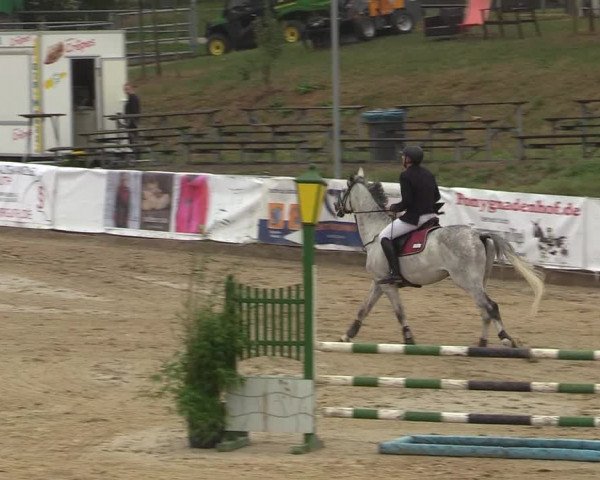 Reitturnier Leichlingen-Witzhelden 2019