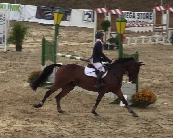 Reitturnier Leichlingen-Witzhelden 2019