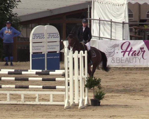 Reitturnier Leichlingen-Witzhelden 2019
