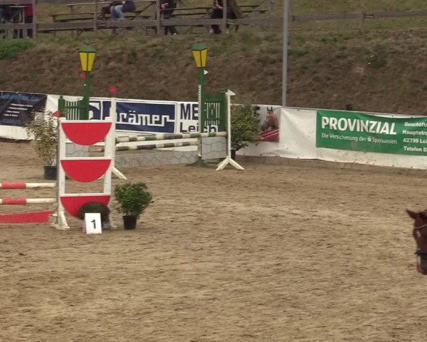 Reitturnier Leichlingen-Witzhelden 2019