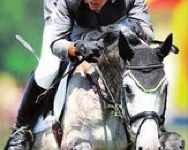 broodmare Pracht-S (KWPN (Royal Dutch Sporthorse), 1997, from Corland)
