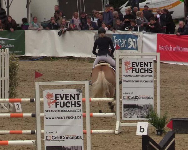 Reitturnier Leichlingen-Witzhelden 2019