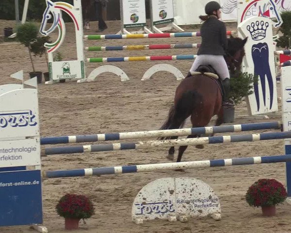 Reitturnier Leichlingen-Witzhelden 2019