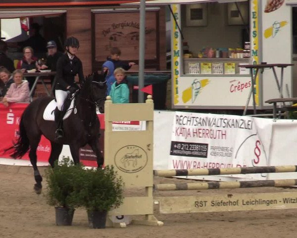 Reitturnier Leichlingen-Witzhelden 2019
