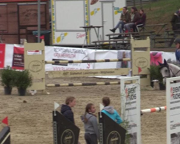 Reitturnier Leichlingen-Witzhelden 2019