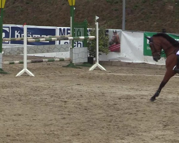 Reitturnier Leichlingen-Witzhelden 2019