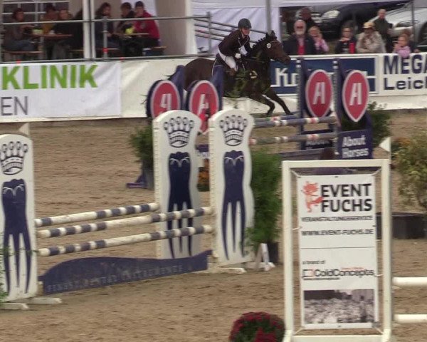 Reitturnier Leichlingen-Witzhelden 2019