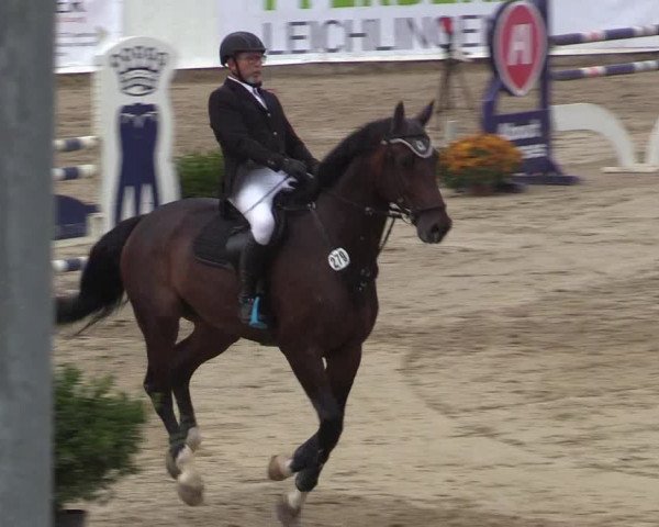 Reitturnier Leichlingen-Witzhelden 2019