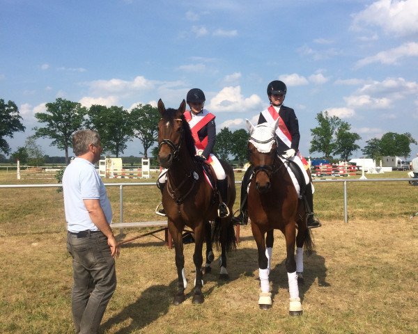 Springpferd Wilhelmine 47 (Deutsches Reitpferd, 2006, von Widjai)