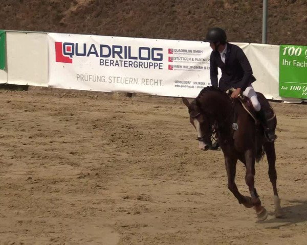 Reitturnier Leichlingen-Witzhelden 2019