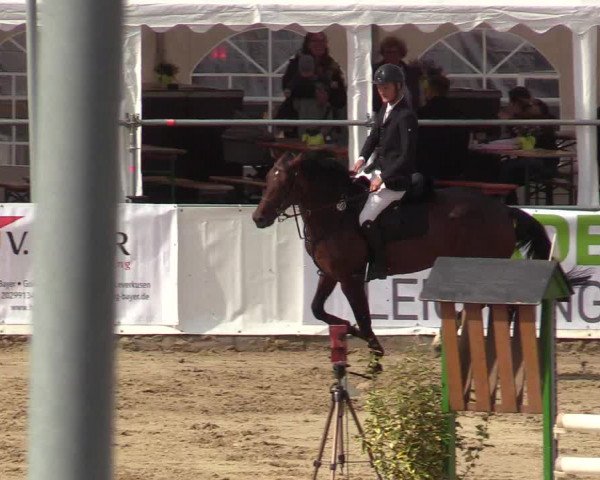 Reitturnier Leichlingen-Witzhelden 2019