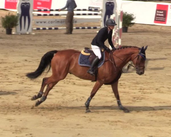 Reitturnier Leichlingen-Witzhelden 2019