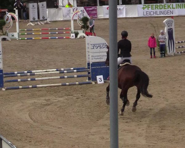 Reitturnier Leichlingen-Witzhelden 2019