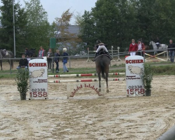 Reitturnier Bühren-Breckerfeld 2019