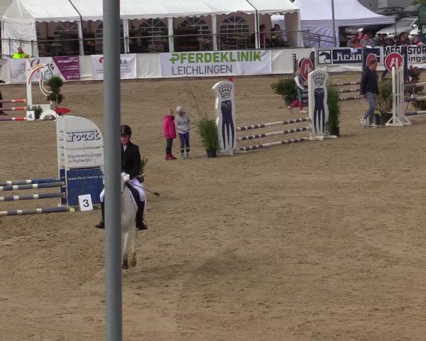 Reitturnier Leichlingen-Witzhelden 2019