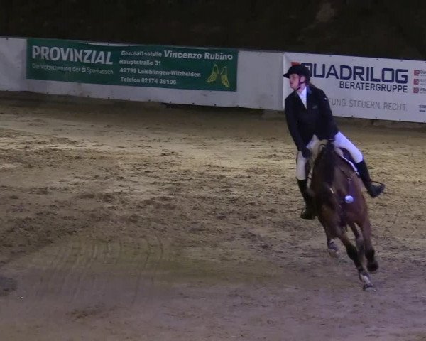 Reitturnier Leichlingen-Witzhelden 2019