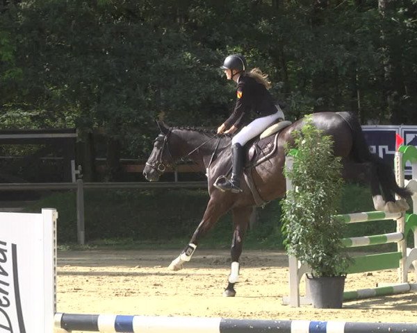 Reitturnier Walldorf/Winterheck 2019