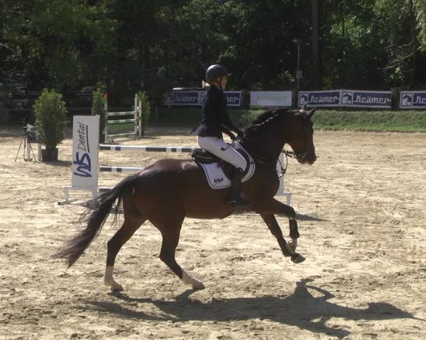 Reitturnier Walldorf/Winterheck 2019