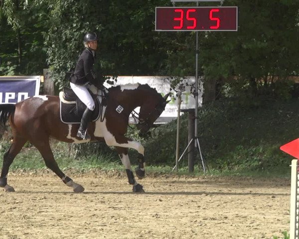 Reitturnier Walldorf/Winterheck 2019
