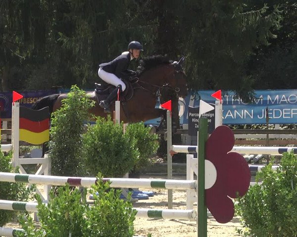 Reitturnier Walldorf/Winterheck 2019