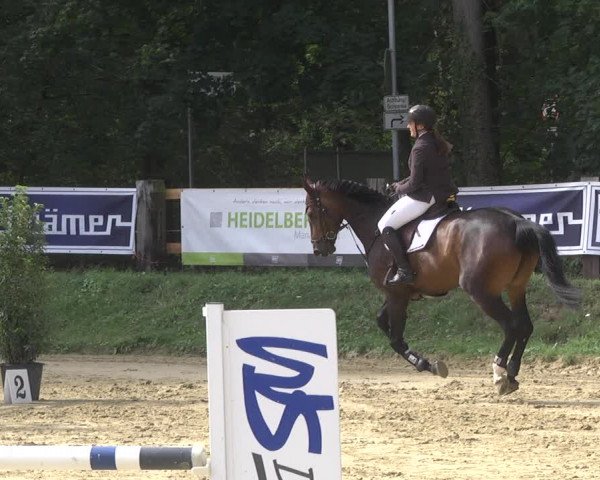 Reitturnier Walldorf/Winterheck 2019