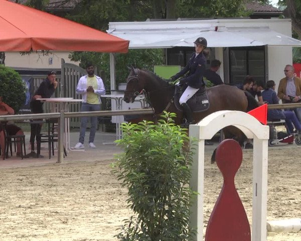 Reitturnier Walldorf/Winterheck 2019