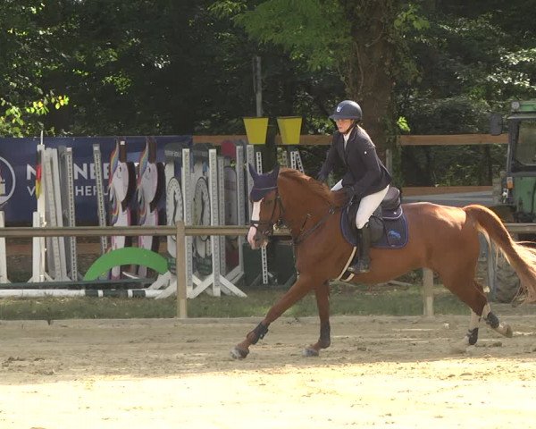 Reitturnier Walldorf/Winterheck 2019