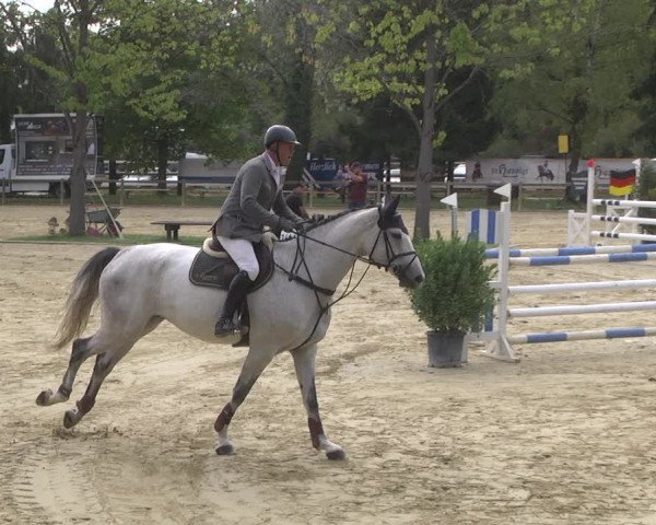 Reitturnier Walldorf/Winterheck 2019