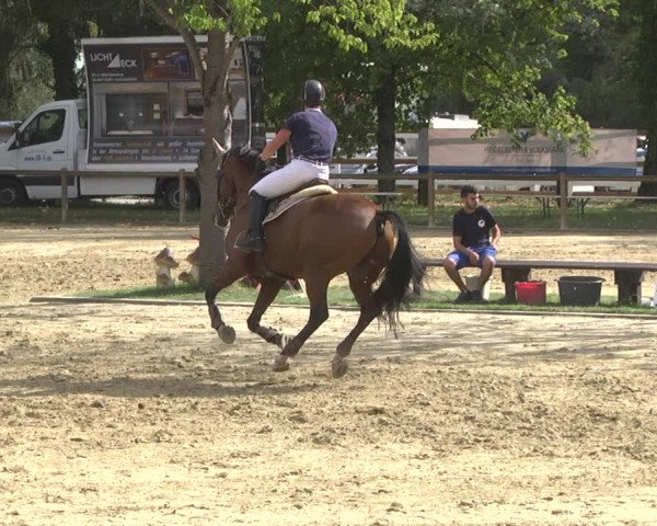 Reitturnier Walldorf/Winterheck 2019