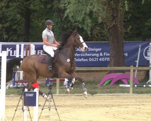 Reitturnier Walldorf/Winterheck 2019