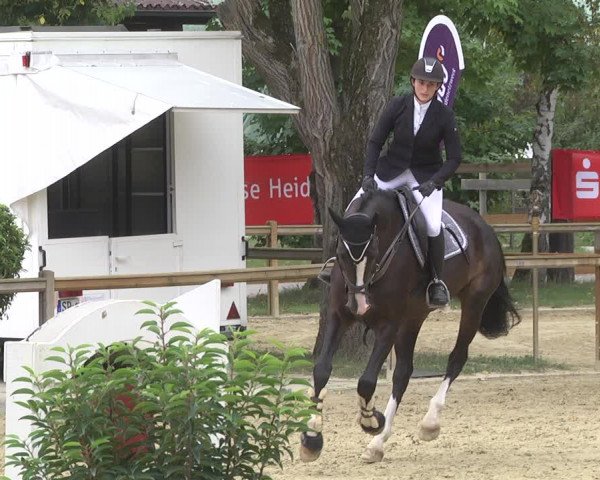 Reitturnier Walldorf/Winterheck 2019