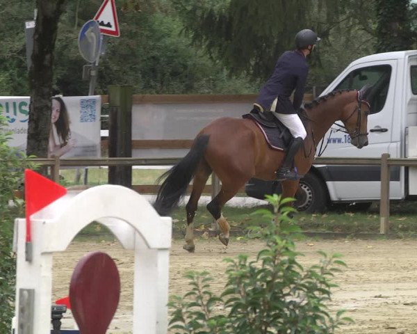 Reitturnier Walldorf/Winterheck 2019