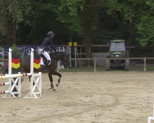 Reitturnier Walldorf/Winterheck 2019