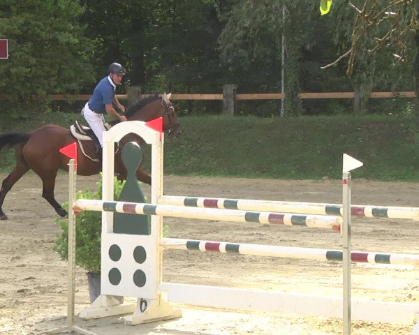 Reitturnier Walldorf/Winterheck 2019
