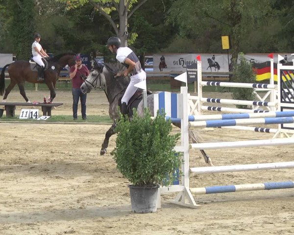 Reitturnier Walldorf/Winterheck 2019
