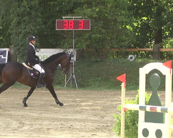 Reitturnier Walldorf/Winterheck 2019