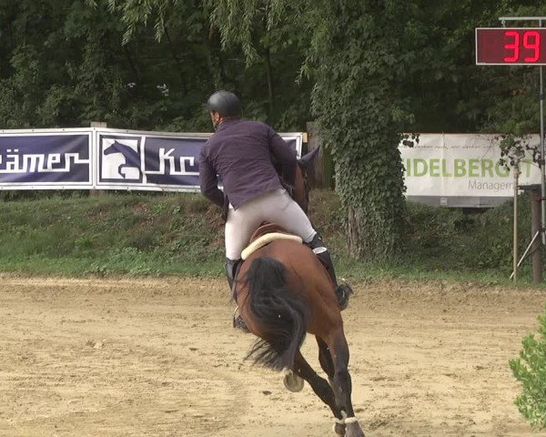 Reitturnier Walldorf/Winterheck 2019