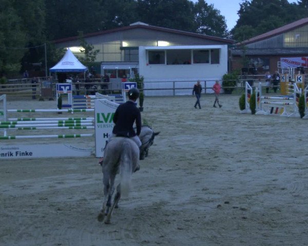 Reitturnier Albersloh 2019